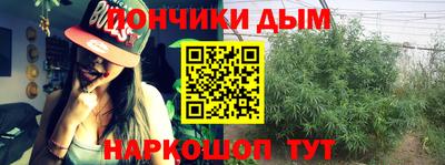 шишки Лесосибирск