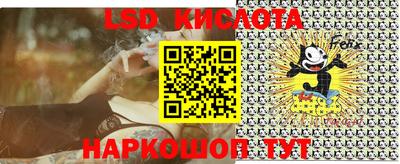 шишки Лесосибирск