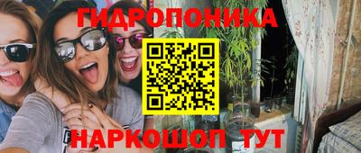 шишки Лесосибирск