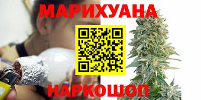 шишки Лесосибирск