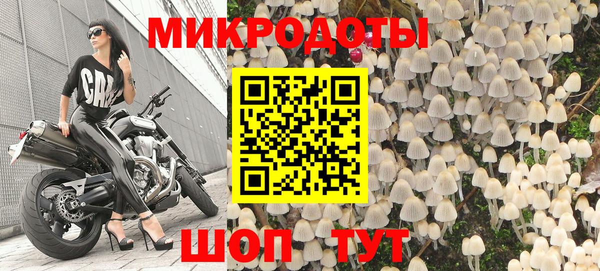 Псилоцибиновые грибы Psilocybine cubensis Симферополь