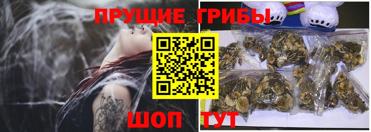Галлюциногенные грибы ЛСД  Галлюциногенные грибы мицелий  Вход с VPN  Симферополь 